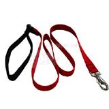 Lupine Nylon Dog Leash 4-foot x 1-inch Red