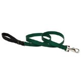 Lupine Nylon Dog Leash 4-foot x 1-inch Green