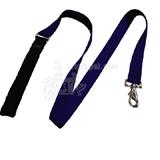 Lupine Nylon Dog Leash 4-foot x 1-inch Purple