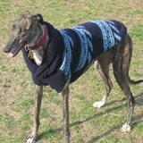 Handmade Dog Sweater Wool Navy Shawl Medium title=