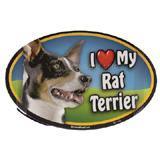 Dog Breed Image Magnet Oval Rat Terrier