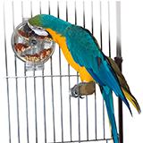 Foraging Wheel Interactive Bird Toy