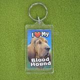 Plastic Keyring Blood Hound