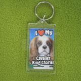 Plastic Keyring Cavalier King Charles