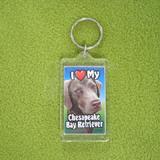 Plastic Keyring Chesapeake Retriever