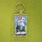 Plastic Keyring Black Labrador