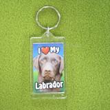 Plastic Keyring Chocolate Labrador 