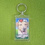 Plastic Keyring Yellow Labrador