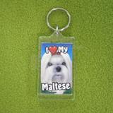 Plastic Keyring Maltese