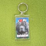 Plastic Keyring Newfoundland