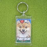 Plastic Keyring Pomeranian