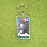 Plastic Keyring Black Poodle