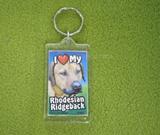 Plastic Keyring Rhodesian Ridgeback