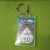 Plastic Keyring Cat Norwegian Mix