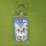 Plastic Keyring Cat Tabby Light