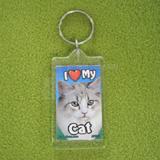 Plastic Keyring Cat Maine Coon Light