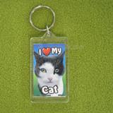 Plastic Keyring Cat Paint