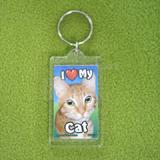 Plastic Keyring Cat Tabby Orange