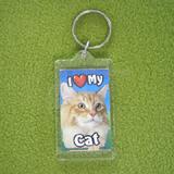 Plastic Keyring Cat Main Coon Orange