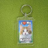 Plastic Keyring Kitten Mix Orange