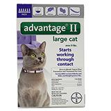 Bayer Advantage II Cat 10-18 pound 6-pack Flea Control