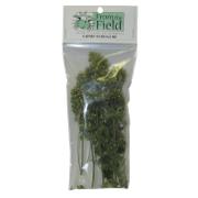 From the Field Catnip Buds for Cats 0.4-oz.