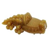 Paragon Small Alligator Dental Dog Treat