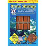 Baby Brine Shrimp Cube 100gm