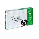 Capstar Oral Flea Treatment for Dogs 25.1-125lbs. 6 Pack