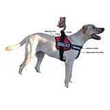 Unimax Multi Purpose Harness Red Medium