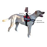 Unimax Multi Purpose Harness Red  XLarge