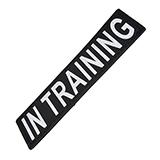 Removable Velcro Patch In Training Large / XLarge