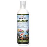 AlgaeFix for controlling Algae in Ponds 16 oz 2 Pack