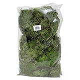 Galapagos Royal Pillow Moss for Reptiles and Amphibians 8qt