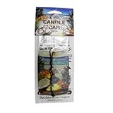 Candle For the Car Pineapple Coconut Pet Odor Eliminator