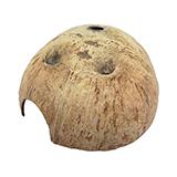 Coconut Dome Home Small Animal and Reptile Hide