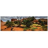 Galapagos Arid Terrarium Cling Background 11.125 x 36-inches