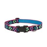 Lupine Nylon Dog Collar Adjustable Flower Power 16-24 inch