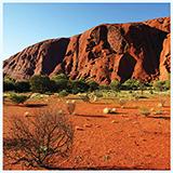 Red Desert Aquarium Terrarium Vinyl Background 30x13