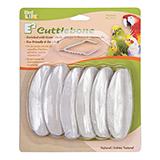 Composite Natural Cuttlebones for Birds 6 Pack