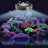 Kessil A80 Tuna Blue High Density LED Aquarium Light