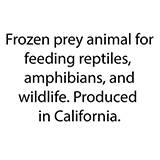 Frozen Extra Small Chickens