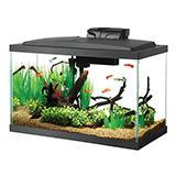 Aqueon 10 Gallon LED Aquarium Setup Kit