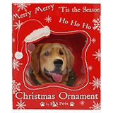 E&S Imports Shatterproof Animal Ornament Golden Retriever