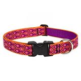 Dog Collar Adjustable Nylon Alpen Glow 16-28 1 inch wide