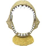Megladon Shark Jaw Large Aquarium Ornament