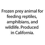 Frozen FeederRat XXLarge