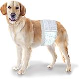 Wee Wee Diaper Garment Male Dog Wrap Disposable Med/L 12pack