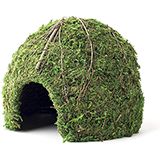 Galapagos Mossy Dome Small 6-inch
