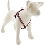 Lupine Step-In Dog Harness El Paso 15-21 inches
